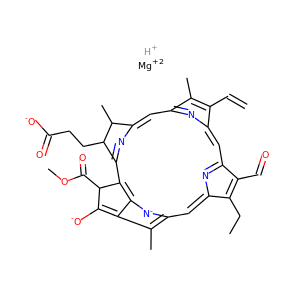 Chlorophyllide b